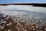 lac_sale_siwa.jpg